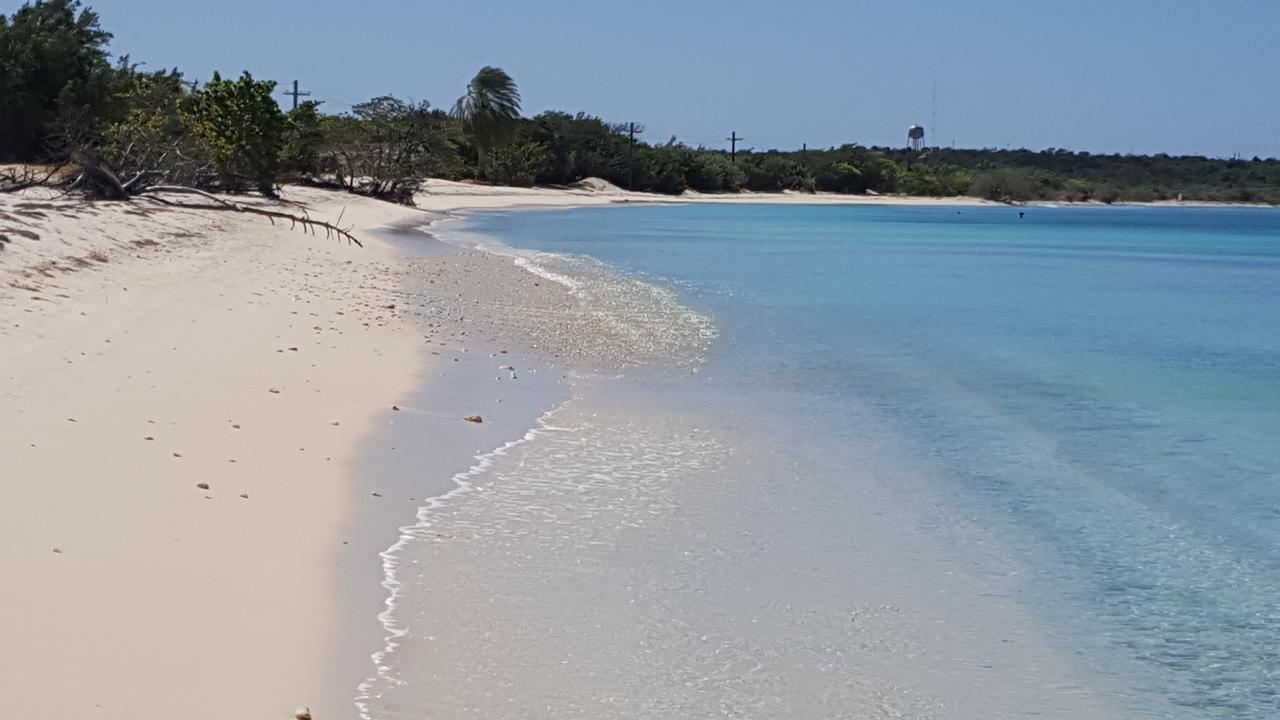 Hotel B&B Italia Caribe Pedernales Ngoại thất bức ảnh